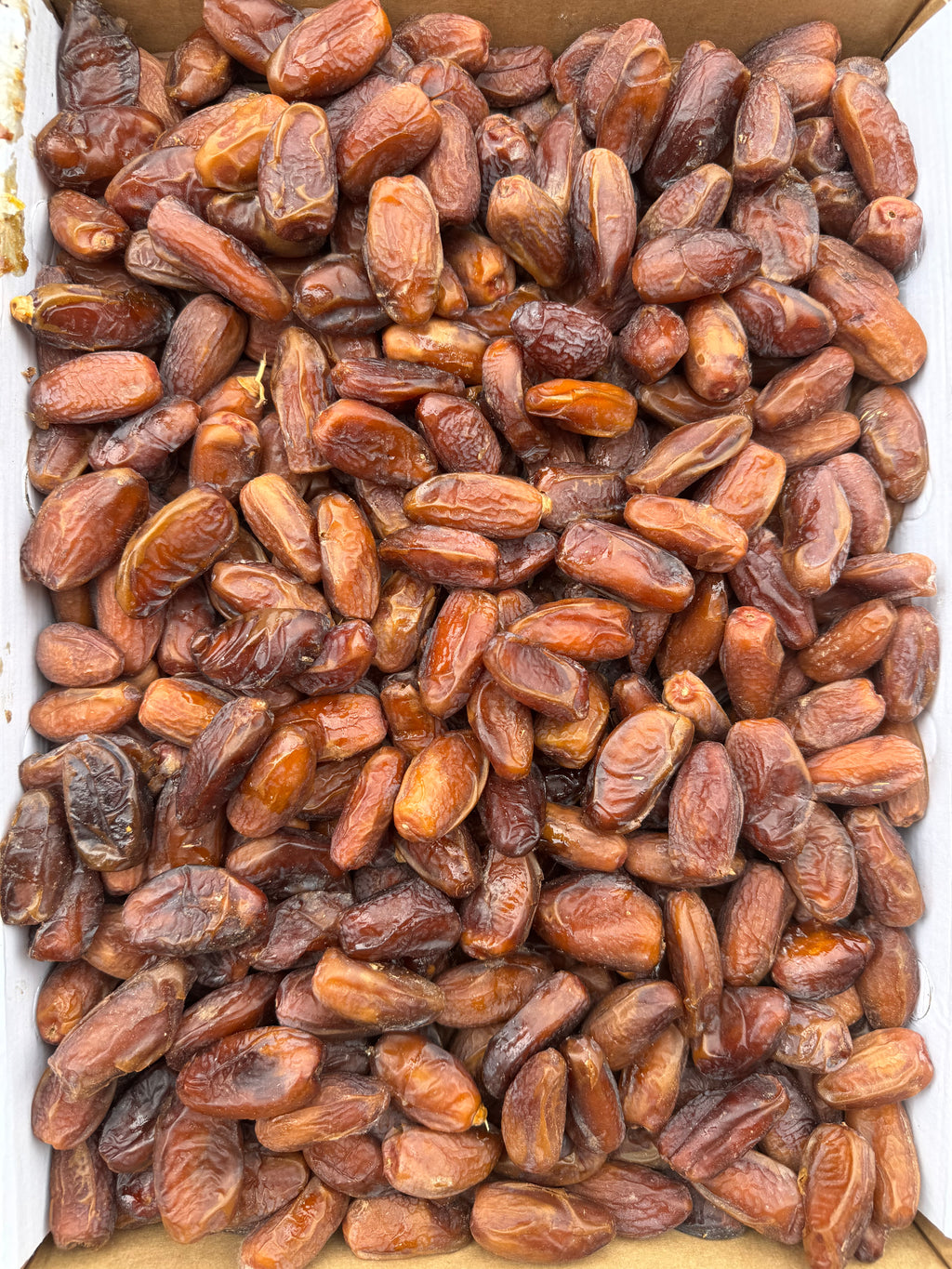 Tunus Hurması