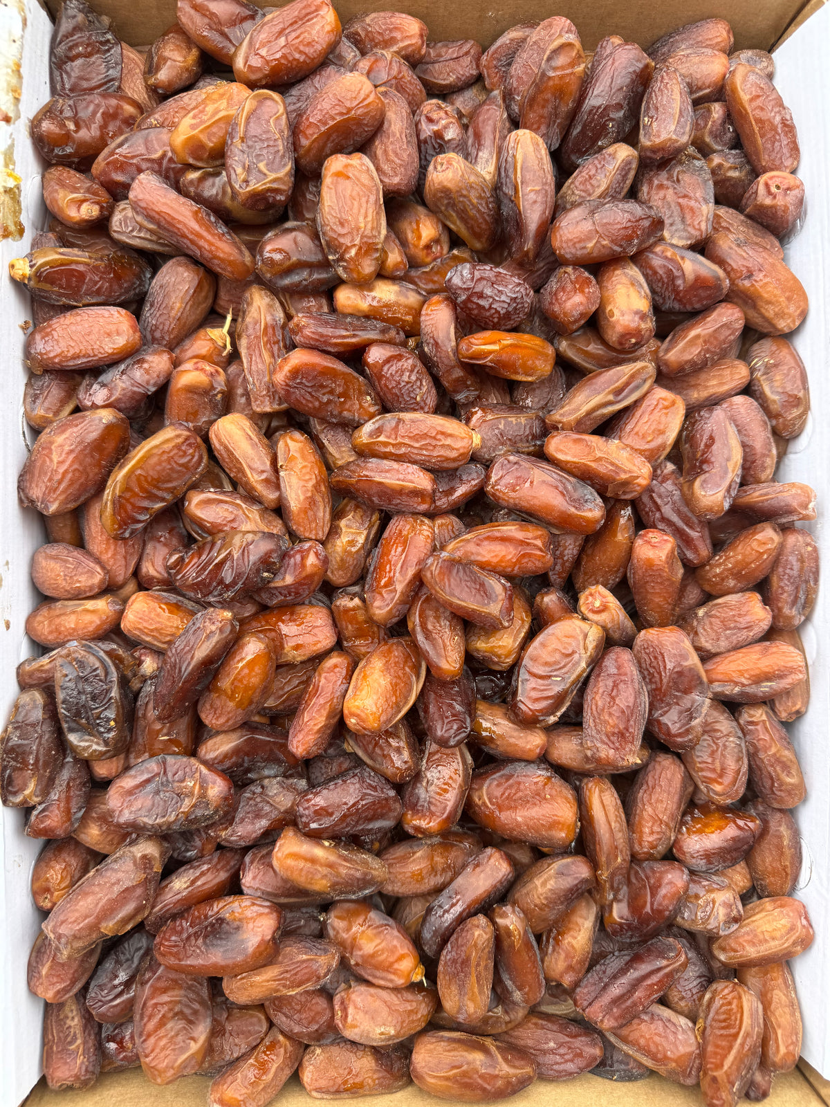 Tunus Hurması