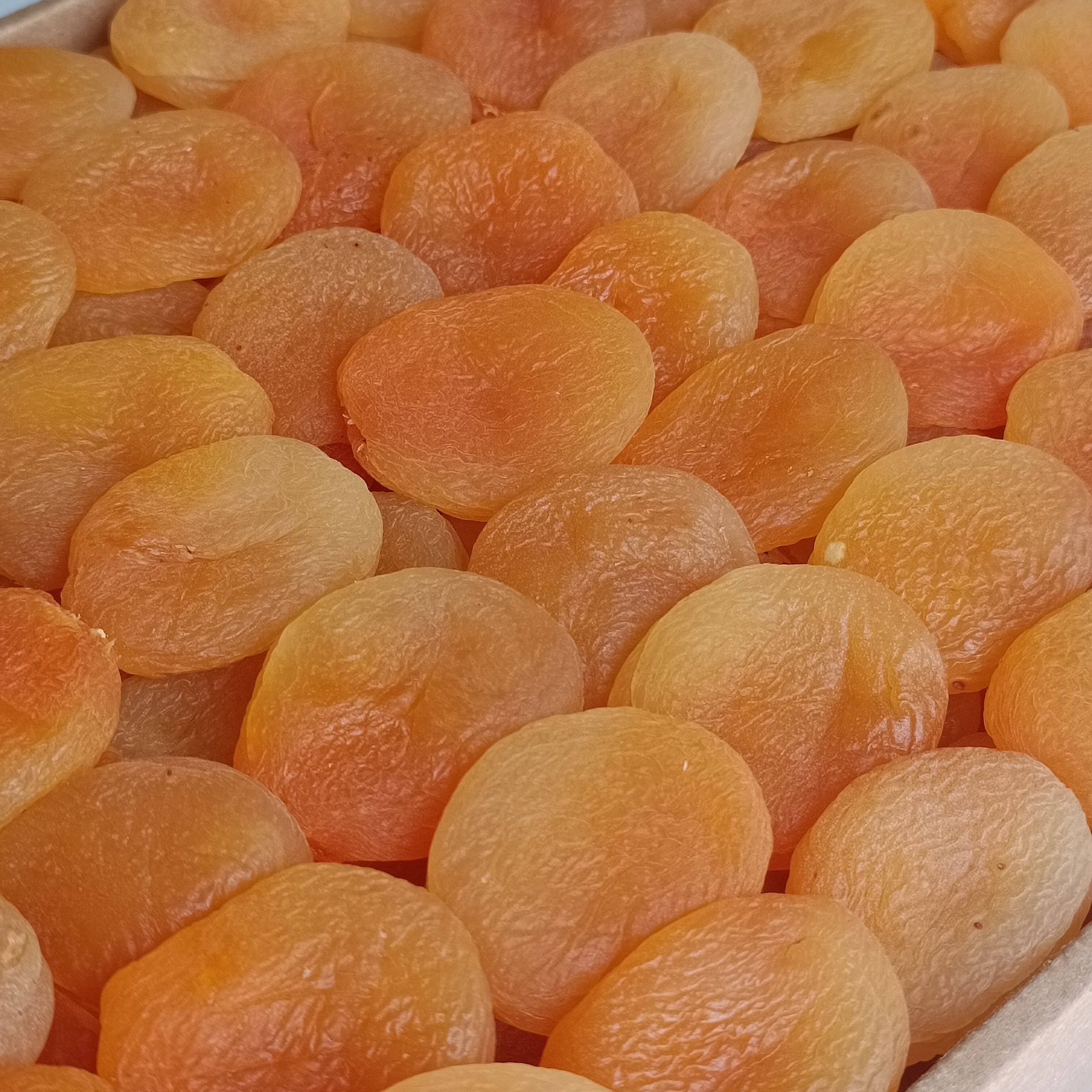 Jumbo Sarı Kayısı