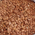 Sarı Kayısı Çekirdeği