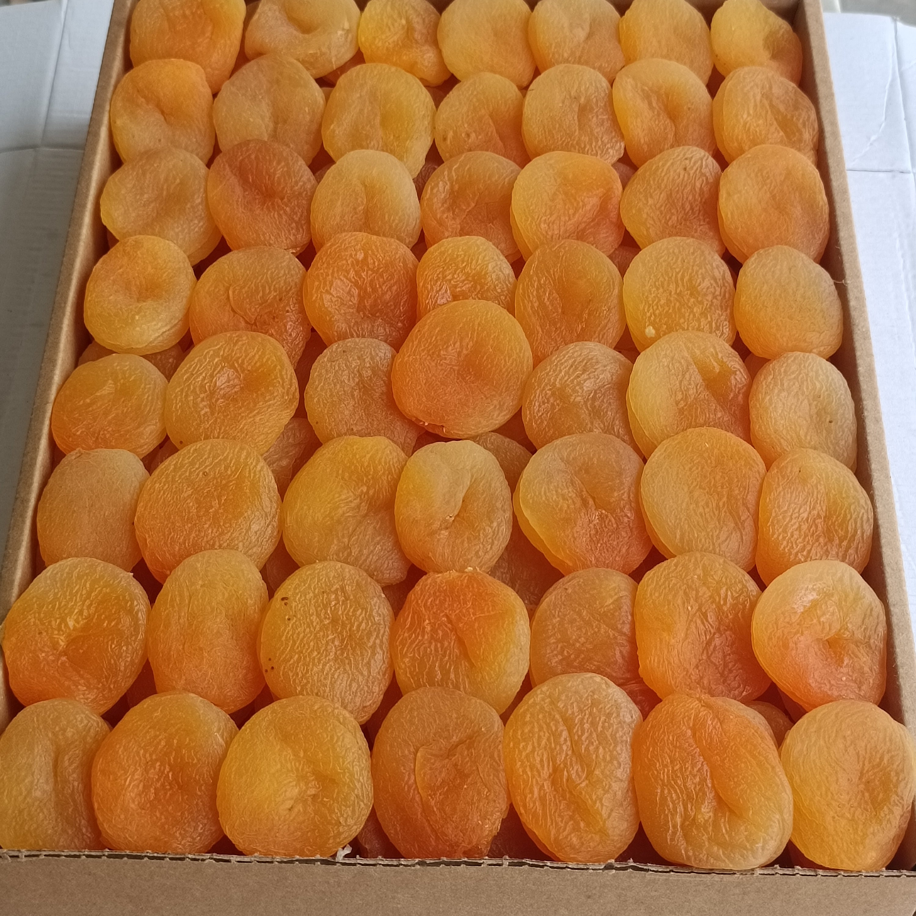 Jumbo Sarı Kayısı