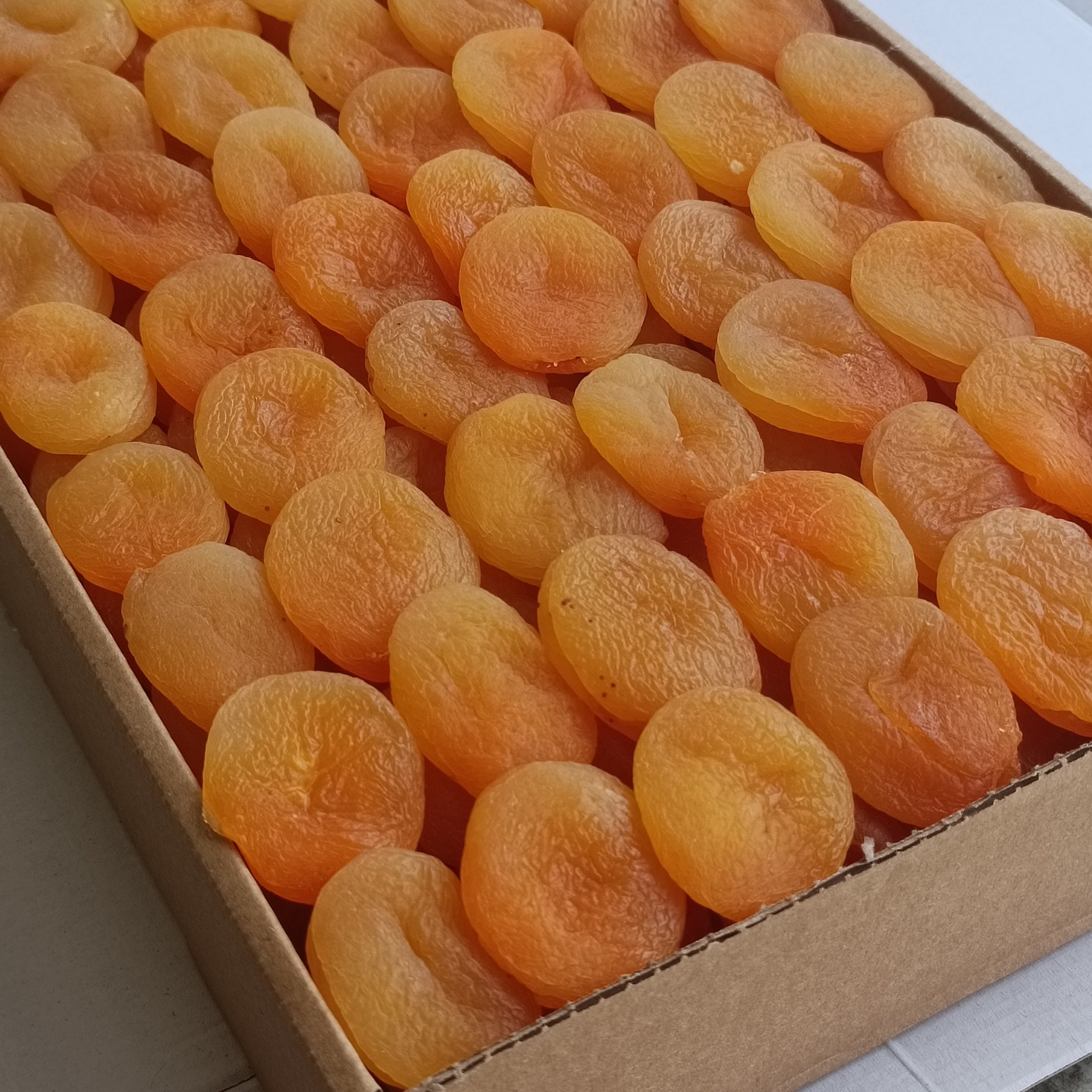 Jumbo Sarı Kayısı