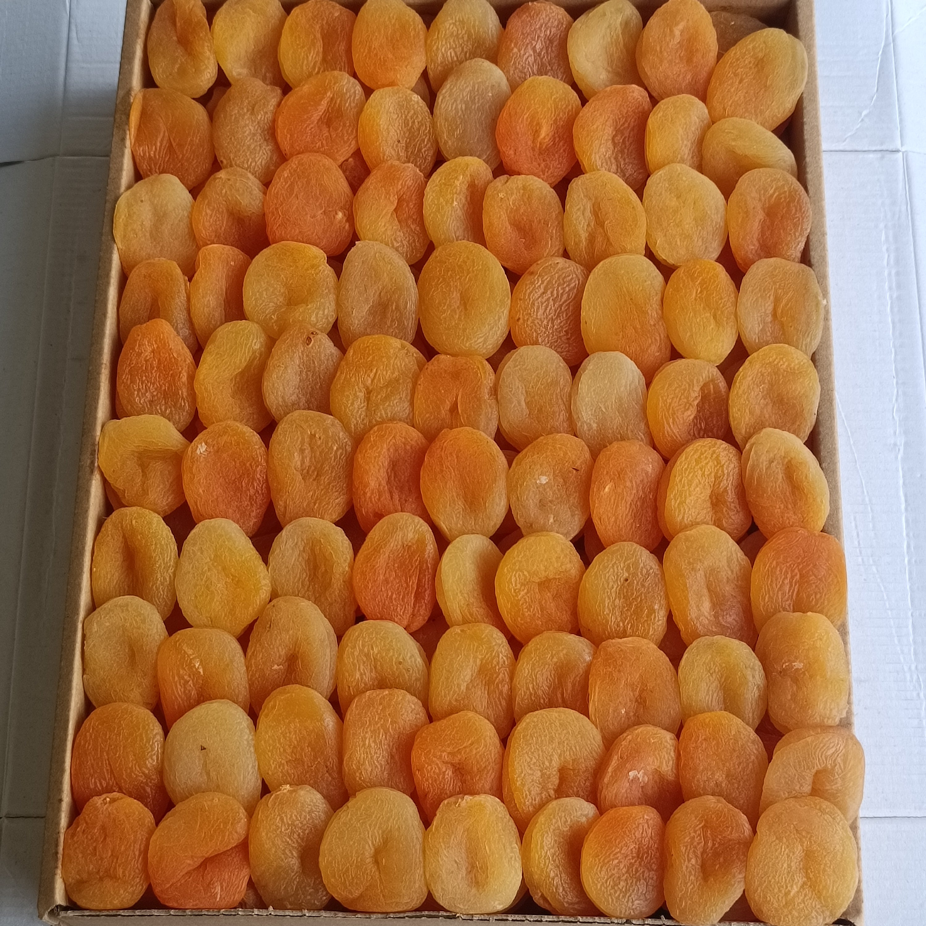 1 No Sarı Kayısı