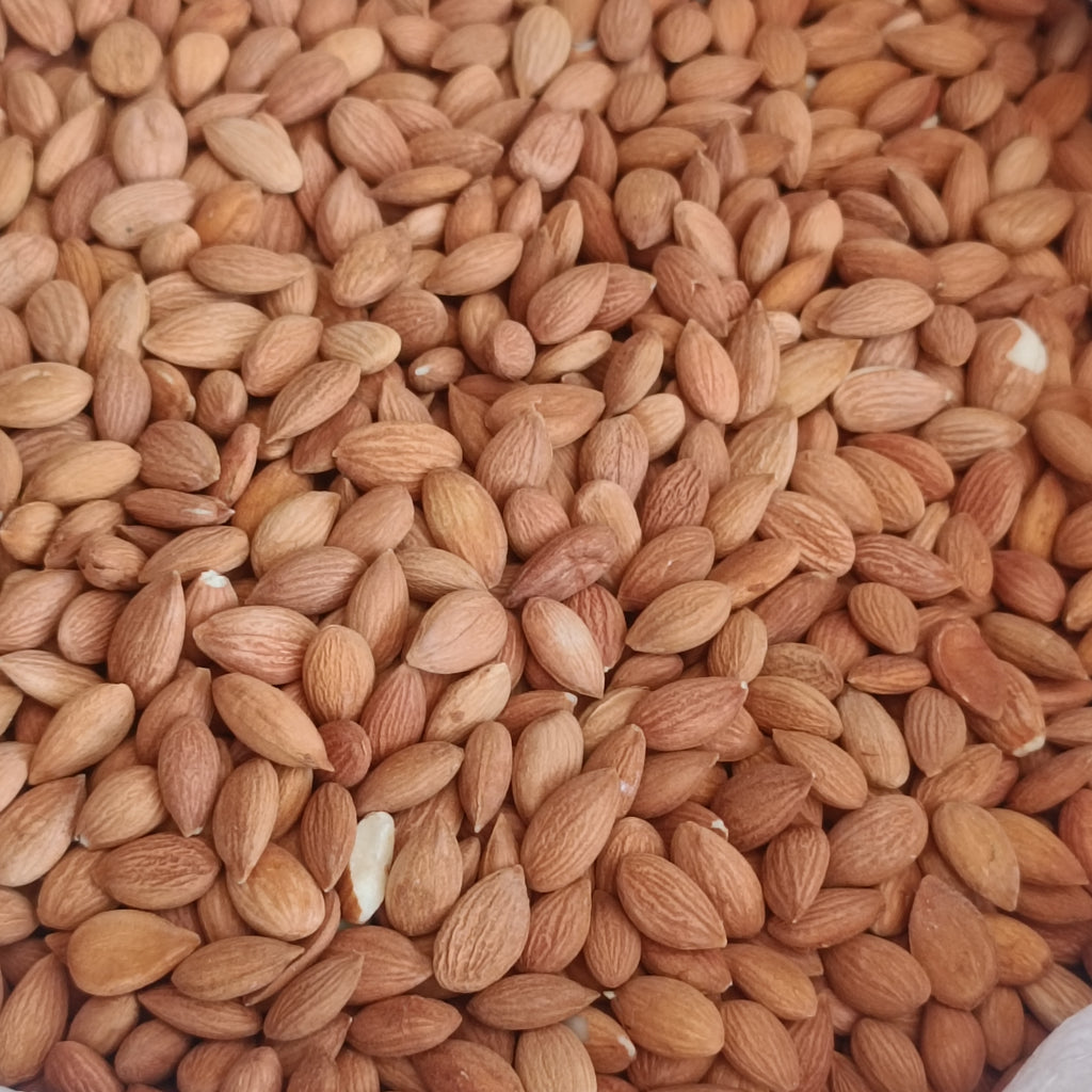 Sarı Kayısı Çekirdeği
