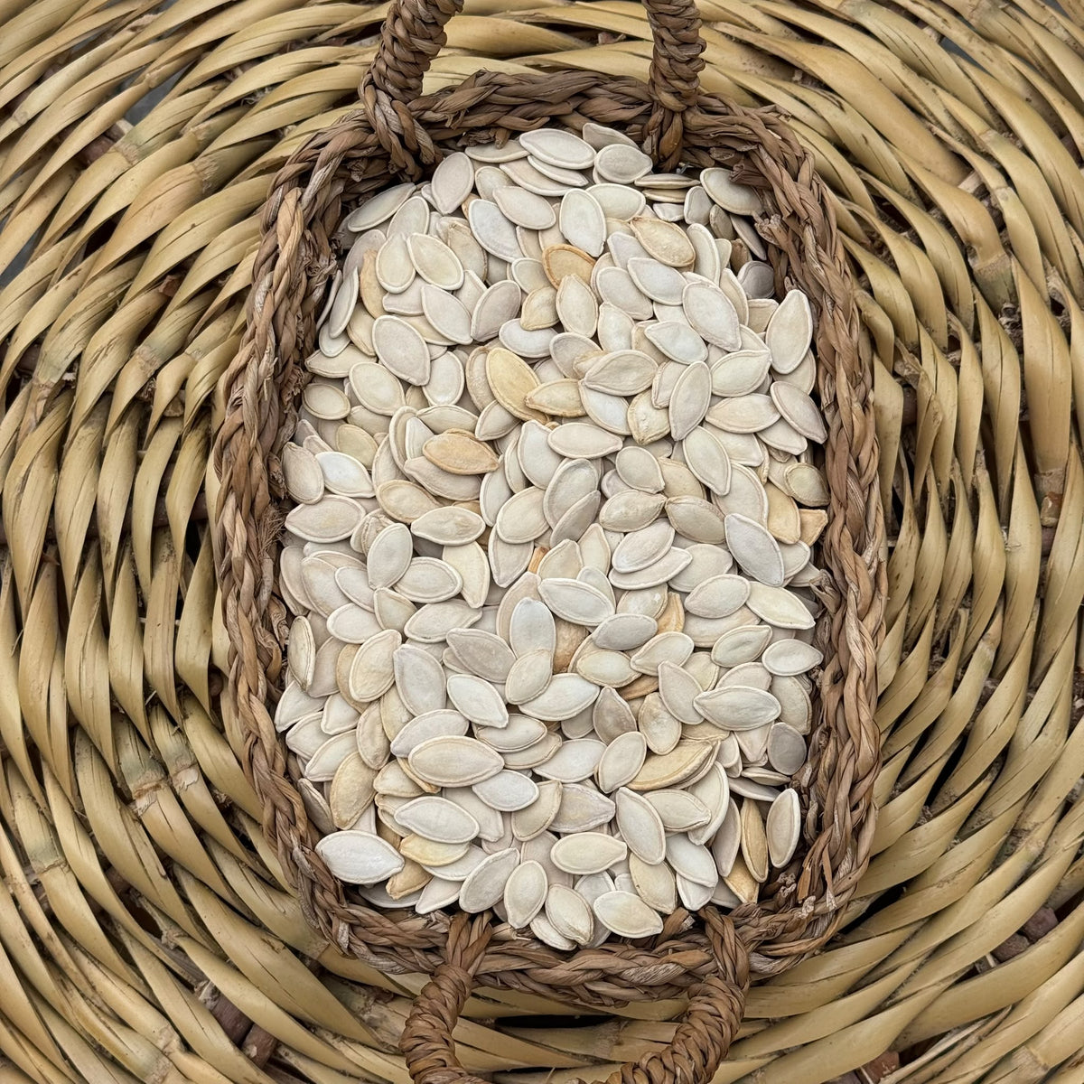 Tuzlu Kabak Çekirdeği