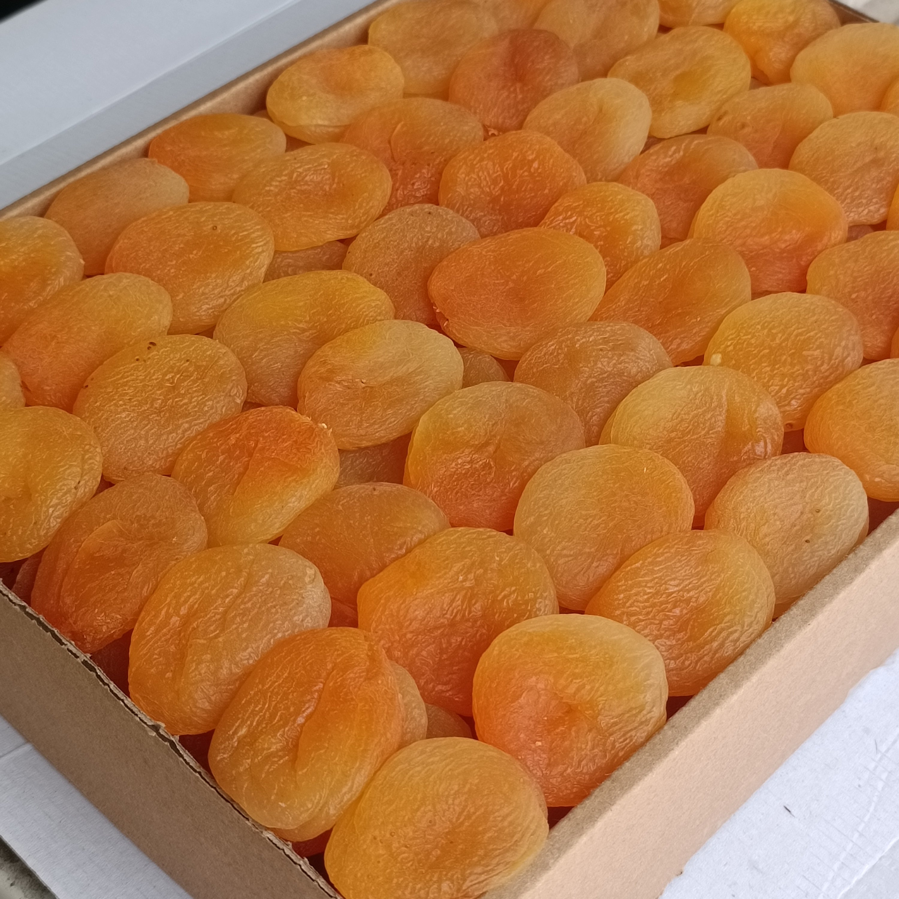 Jumbo Sarı Kayısı